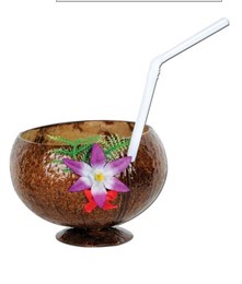 Coconut Cup